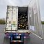 Adequate staffing is needed to unload a delivery truck of fresh NC Christmas trees
