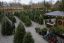 christmas tree lot fundraiser