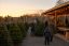 nonprofit Christmas tree lot